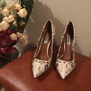 Steve Madden Studded Snake Print Heels